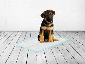 Savic Serviettes d’entraînement pour chien Xlarge - Boutique Le Jardin Des Animaux -entrainement proprrtéBoutique Le Jardin Des Animauxd-3523
